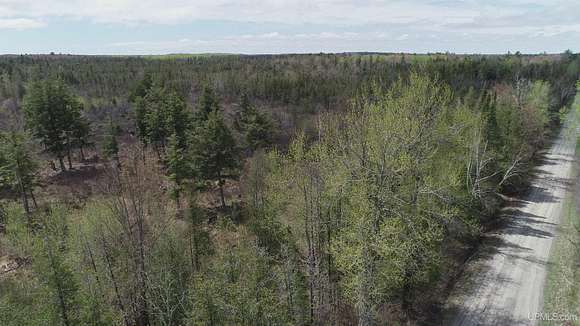 80 Acres of Recreational Land for Sale in Rapid River, Michigan