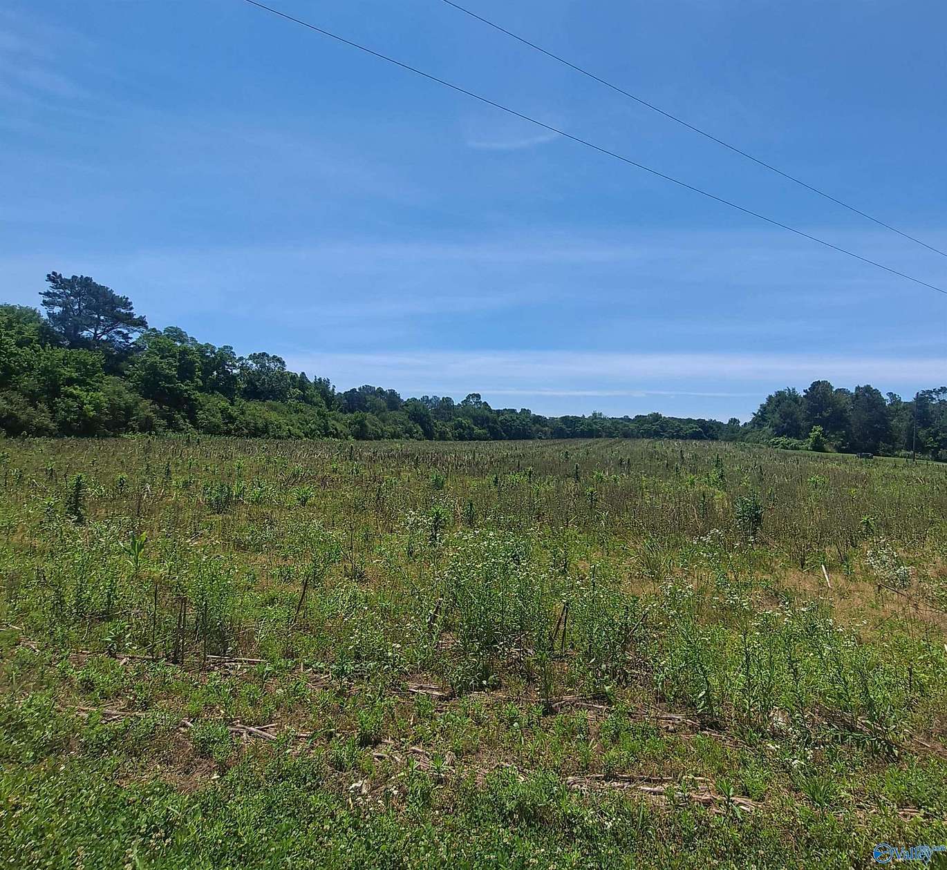 11 Acres of Land for Sale in Albertville, Alabama