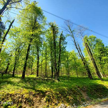 0.8 Acres of Residential Land for Sale in Mooresburg, Tennessee