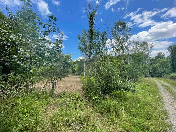 8 Acres of Recreational Land for Sale in East Durham, New York