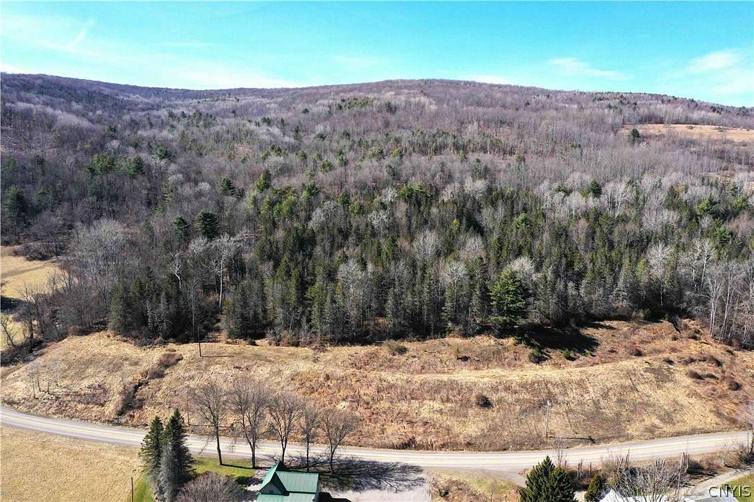 226.2 Acres of Recreational Land for Sale in Jasper, New York