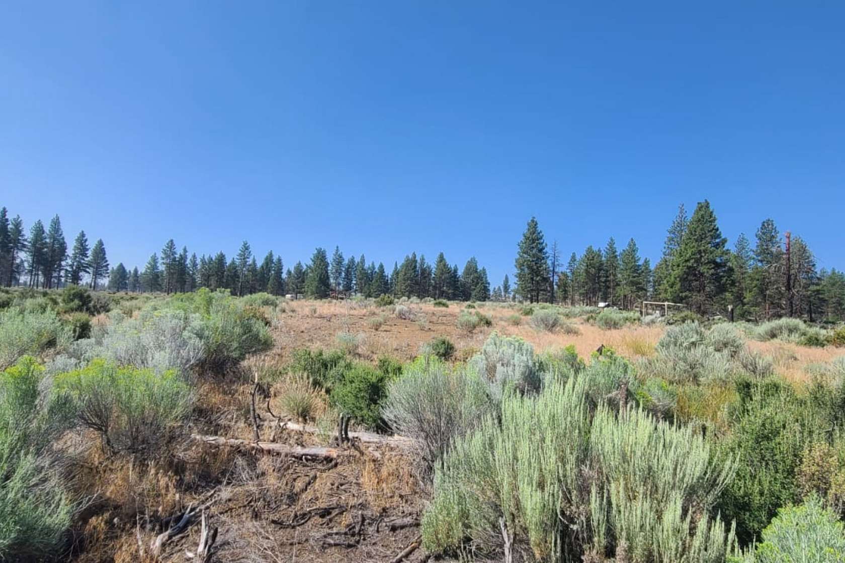 Residential Land for Sale in Chiloquin, Oregon