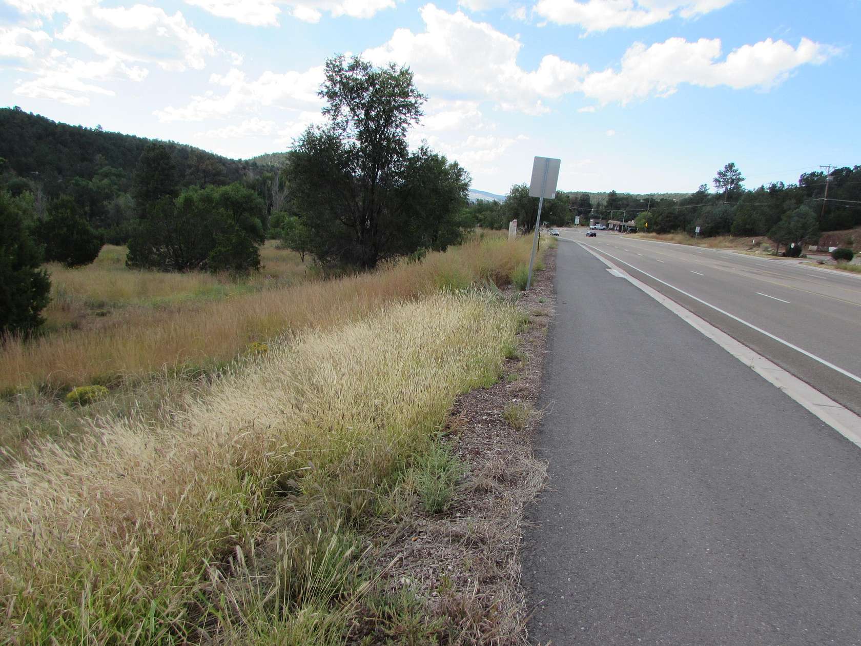 2.87 Acres of Commercial Land for Sale in Cedar Crest, New Mexico