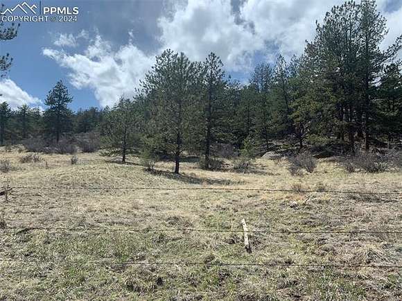 10 Acres of Recreational Land for Sale in Lake George, Colorado