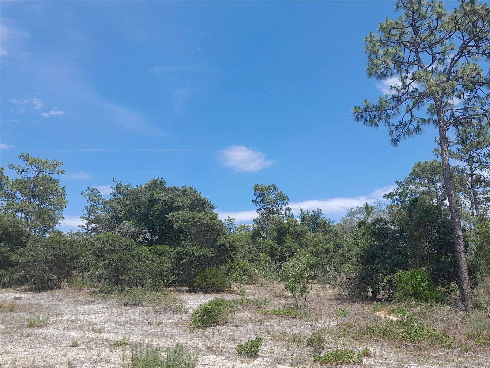 0.46 Acres of Residential Land for Sale in Morriston, Florida