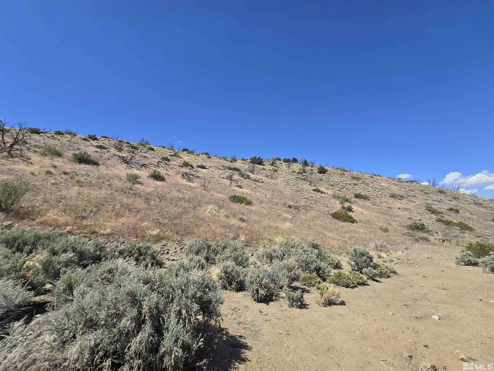 15.17 Acres of Land for Sale in Reno, Nevada
