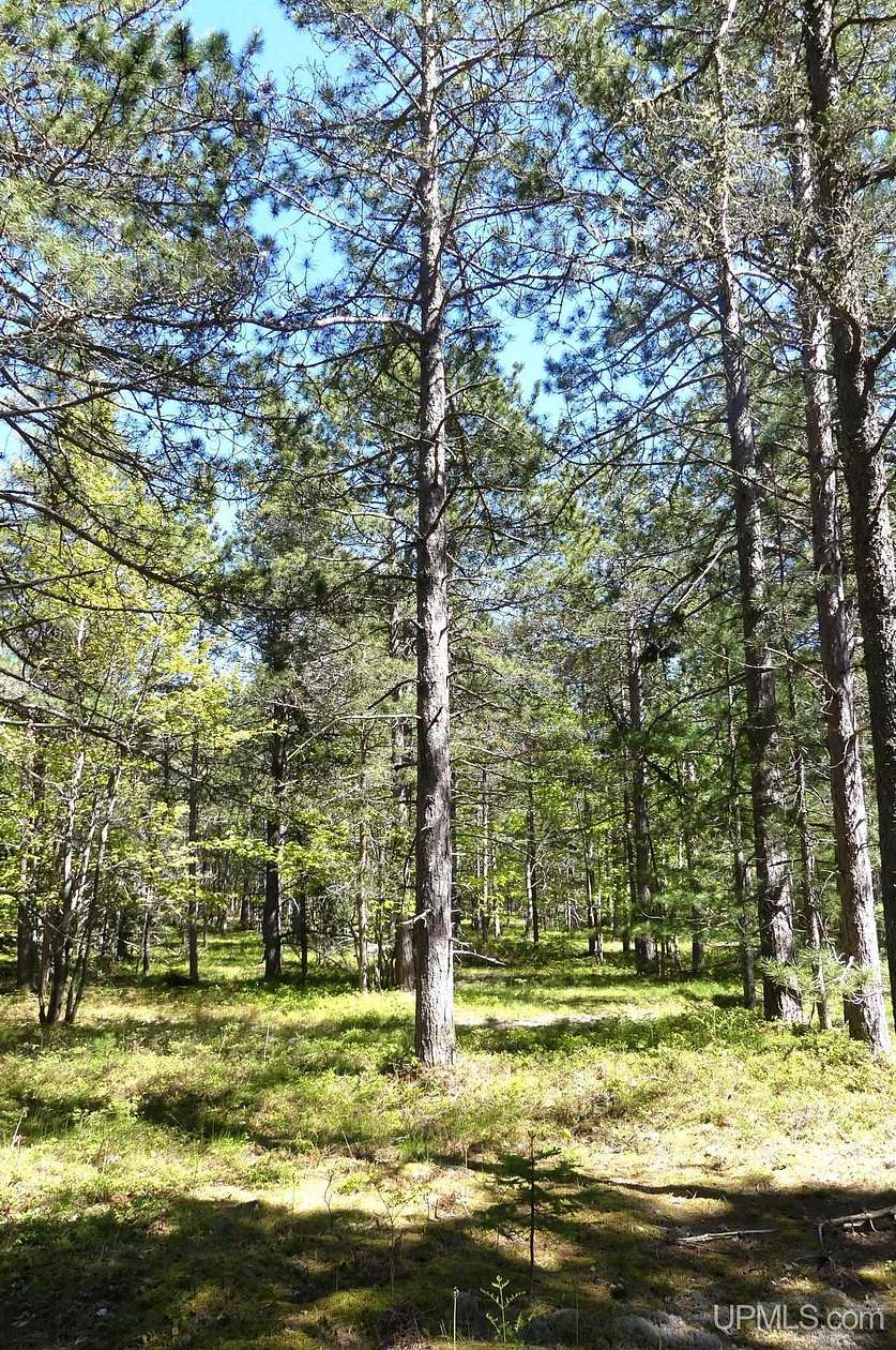 2 Acres of Residential Land for Sale in Grand Marais, Michigan