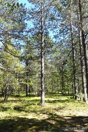 2 Acres of Residential Land for Sale in Grand Marais, Michigan