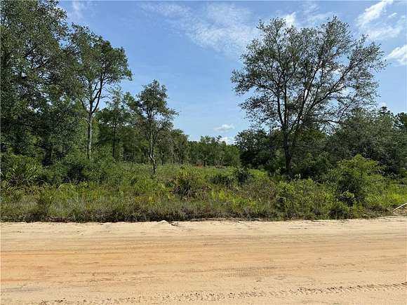 13.4 Acres of Land for Sale in Nahunta, Georgia