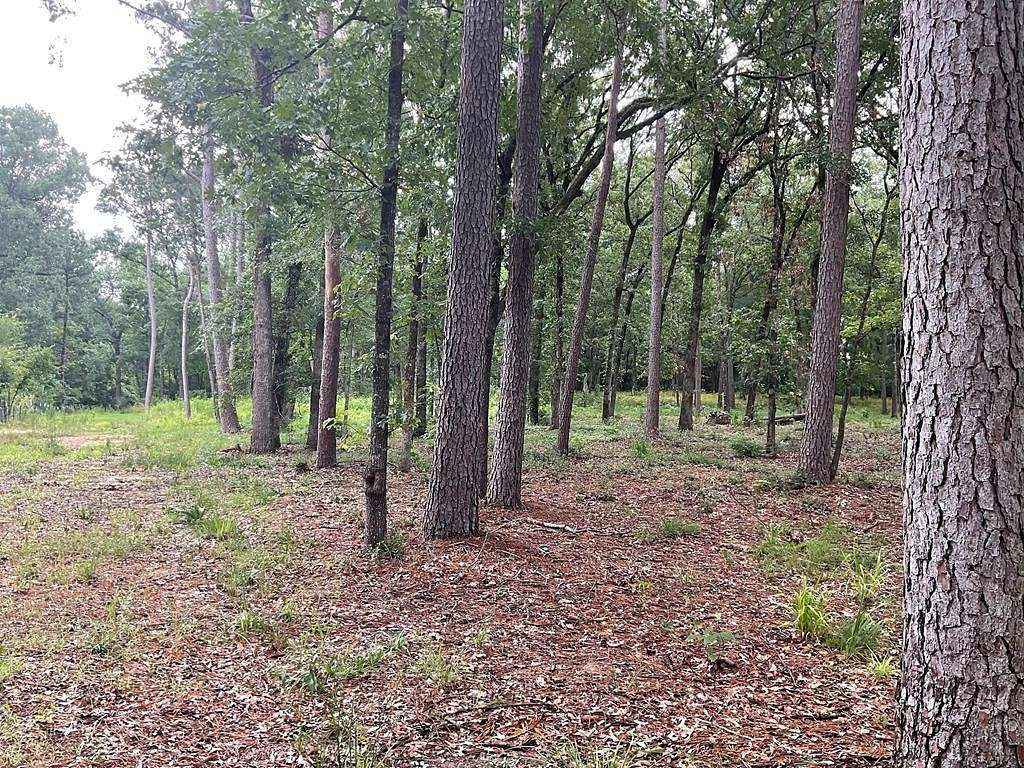 4.9 Acres of Residential Land for Sale in Lufkin, Texas