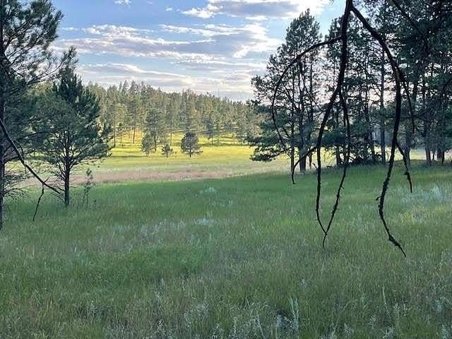 33.2 Acres of Recreational Land with Home for Sale in Custer, South Dakota
