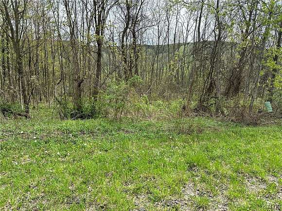 0.92 Acres of Residential Land for Sale in Virgil, New York