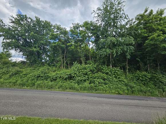 0.74 Acres of Residential Land for Sale in Abingdon, Virginia