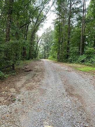 Land for Sale in Arley, Alabama