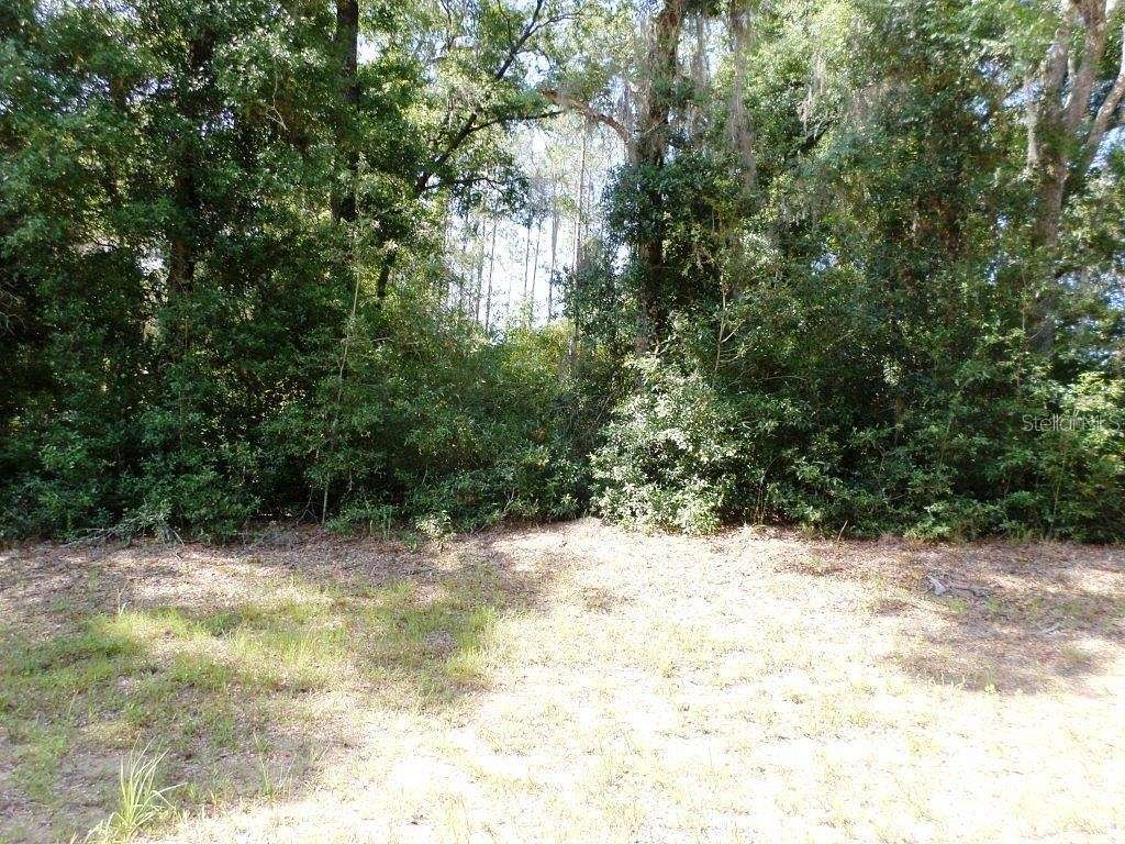 0.97 Acres of Residential Land for Sale in Citrus Springs, Florida