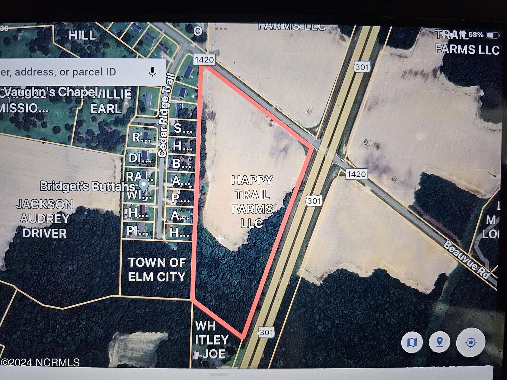 15 Acres of Land for Sale in Elm City, North Carolina