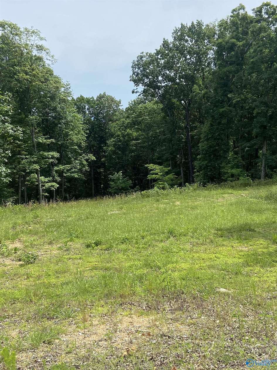 8 Acres of Residential Land for Sale in Owens Cross Roads, Alabama