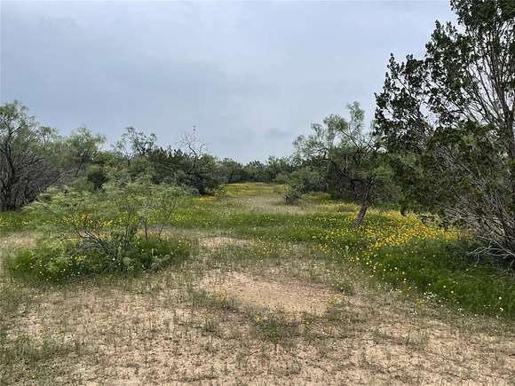 10 Acres of Recreational Land for Sale in Millersview, Texas