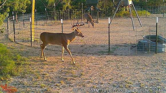 10.021 Acres of Recreational Land for Sale in Millersview, Texas