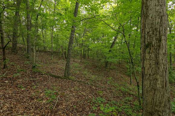 30 Acres of Recreational Land & Farm for Sale in Decatur, Tennessee
