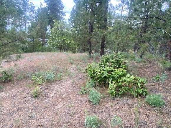 0.54 Acres of Residential Land for Sale in Kettle Falls, Washington