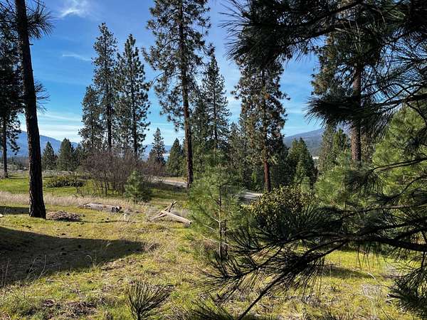 0.54 Acres of Residential Land for Sale in Kettle Falls, Washington
