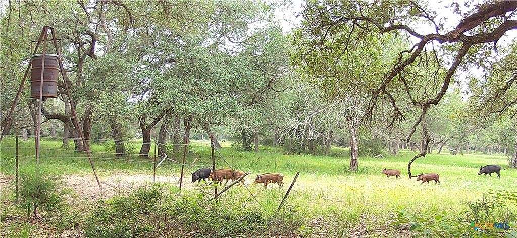 341.823 Acres of Land with Home for Sale in Garwood, Texas