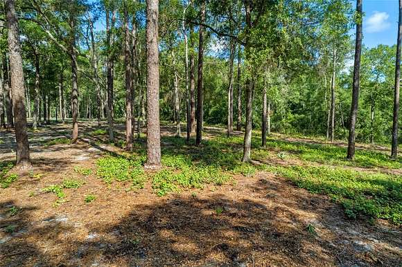 9.2 Acres of Residential Land for Sale in Eustis, Florida