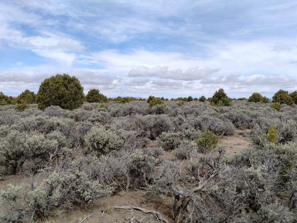 Land for Sale in San Luis, Colorado