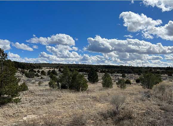 26.6 Acres of Recreational Land for Sale in Ramah, New Mexico