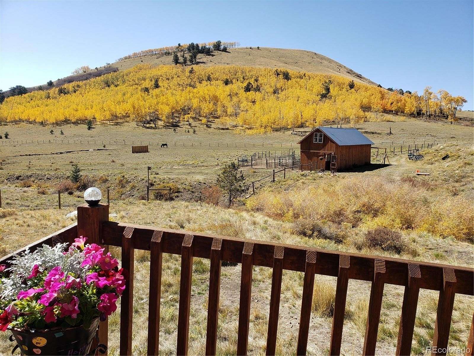 38.5 Acres of Land with Home for Sale in Cotopaxi, Colorado