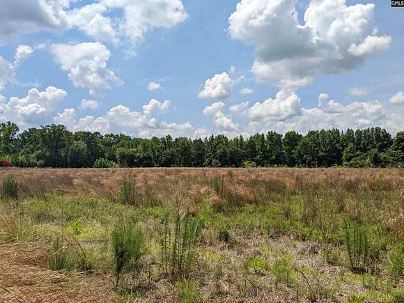 12.5 Acres of Agricultural Land for Sale in Hartsville, South Carolina