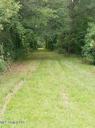 15 Acres of Land for Sale in Poplarville, Mississippi