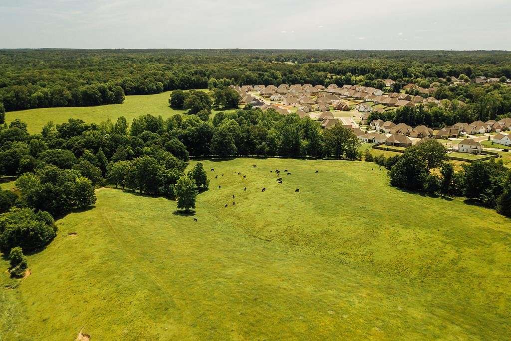 86 Acres of Agricultural Land for Sale in Oxford, Mississippi