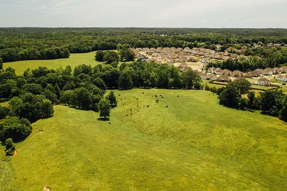 86 Acres of Land for Sale in Oxford, Mississippi
