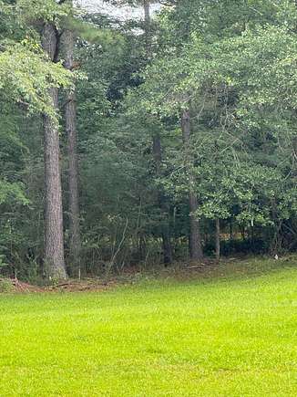 6.8 Acres of Land for Sale in Cordova, Alabama