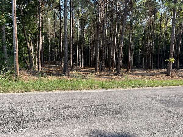 67.7 Acres of Recreational Land for Sale in Lexington, Tennessee