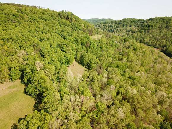 151.23 Acres of Land for Auction in Napier, West Virginia