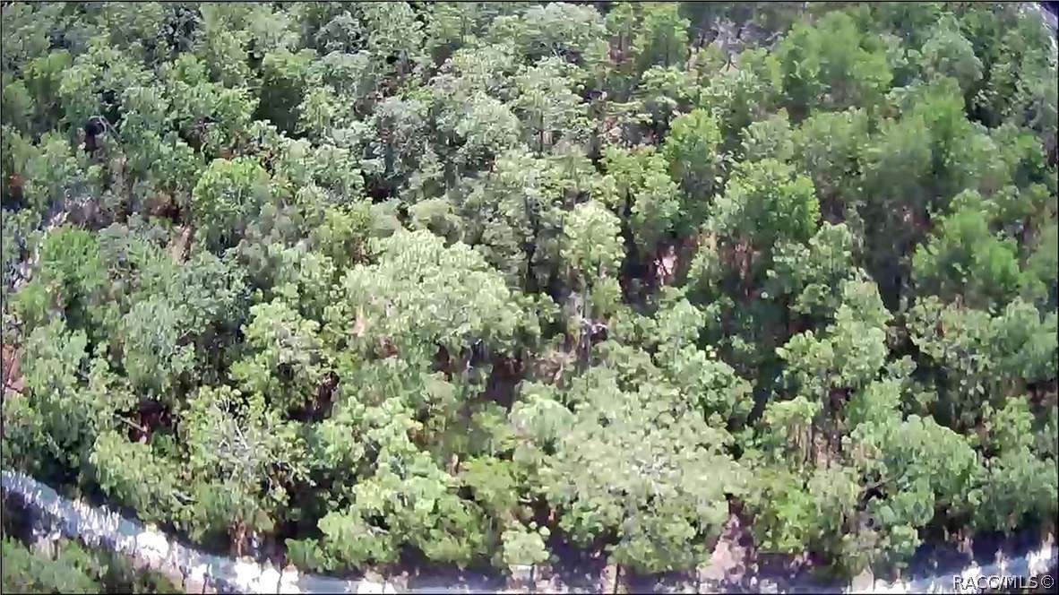 0.23 Acres of Residential Land for Sale in Ocala, Florida