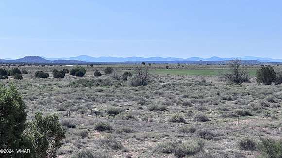 47.63 Acres of Agricultural Land for Sale in Snowflake, Arizona