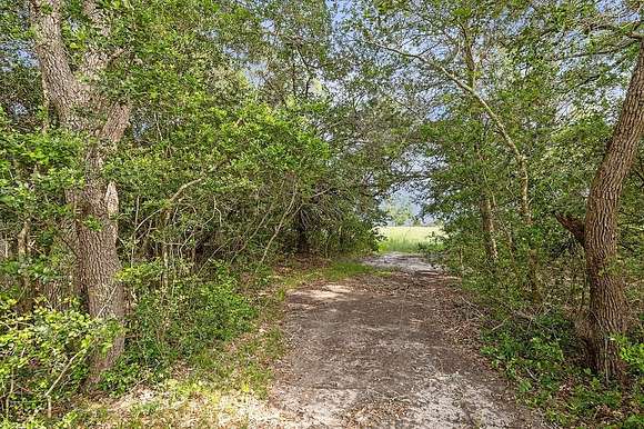 6 Acres of Land for Sale in Round Top, Texas