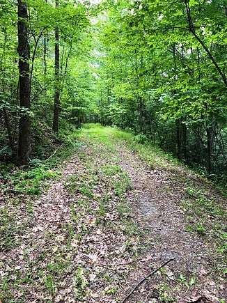 7.1 Acres of Land for Sale in Mill Spring, North Carolina