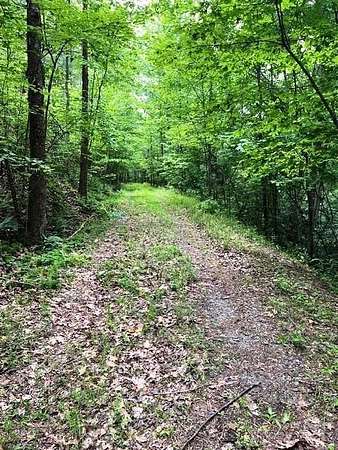 7 Acres of Land for Sale in Mill Spring, North Carolina
