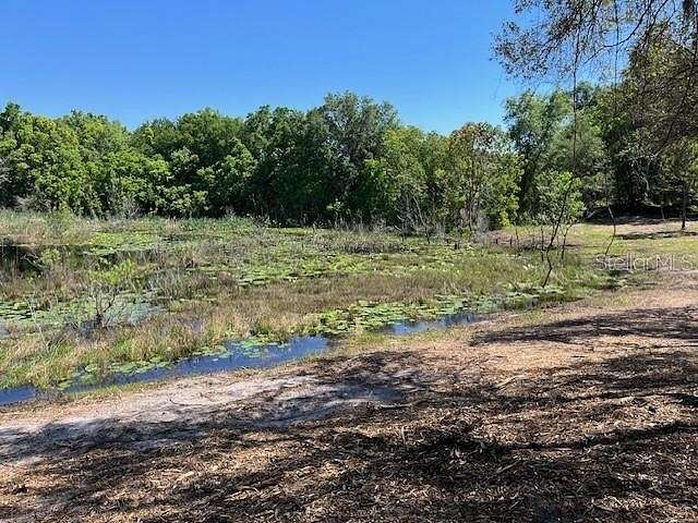11.64 Acres of Land for Sale in Weirsdale, Florida