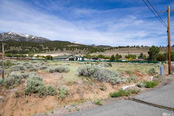 1 Acre of Residential Land for Sale in Washoe Valley, Nevada