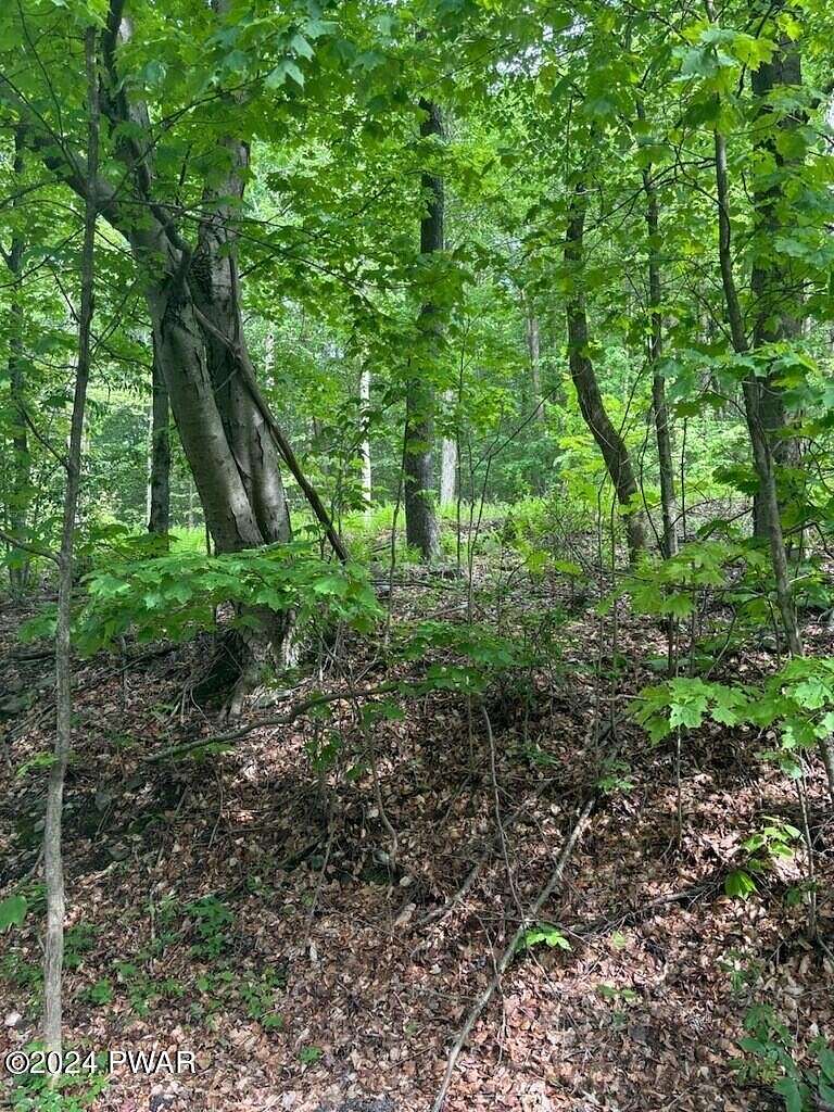 2.45 Acres of Residential Land for Sale in Newfoundland, Pennsylvania