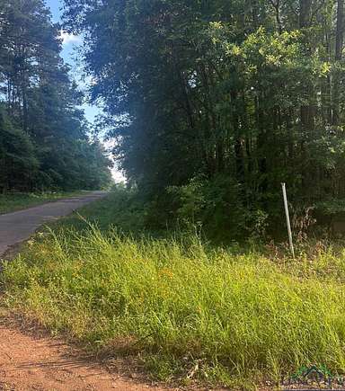 0.48 Acres of Land for Sale in Gilmer, Texas