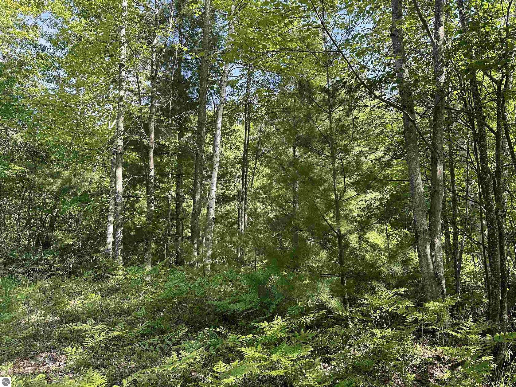 1 Acre of Residential Land for Sale in Cadillac, Michigan