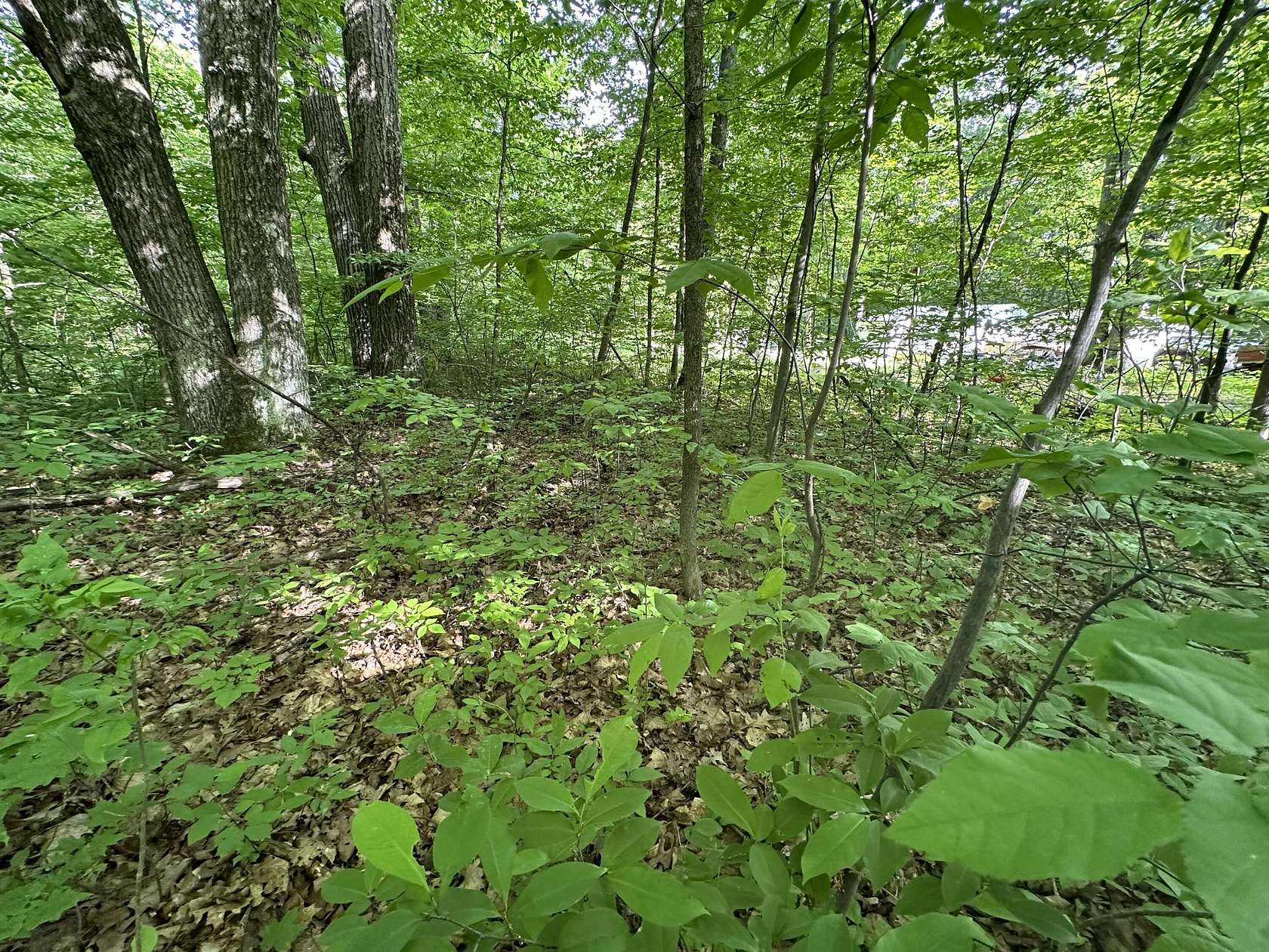 0.34 Acres of Land for Sale in Cadillac, Michigan