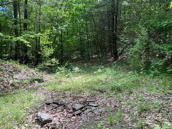 12 Acres of Land for Sale in Cairo, New York